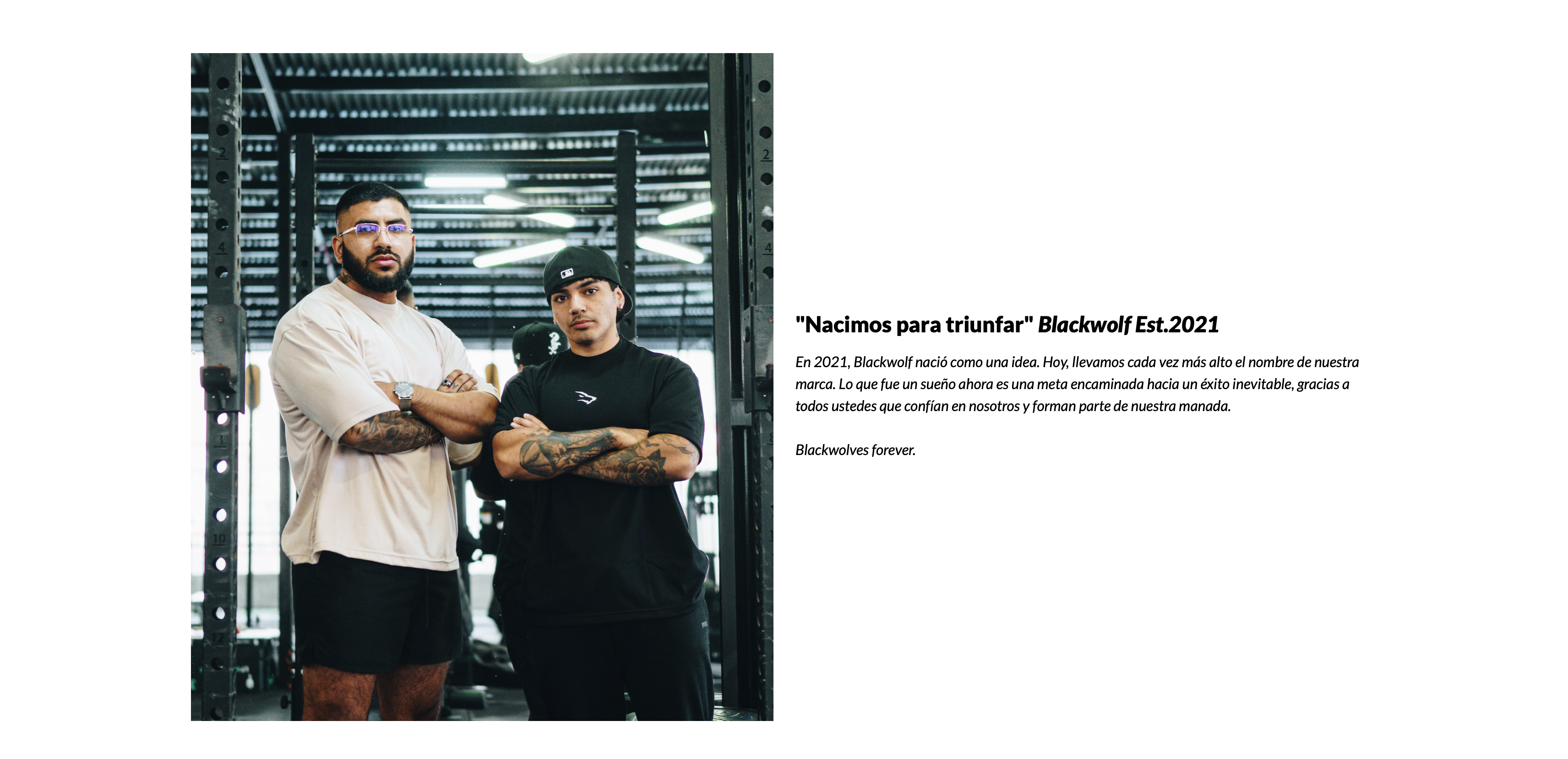 Sección About BlackWolf