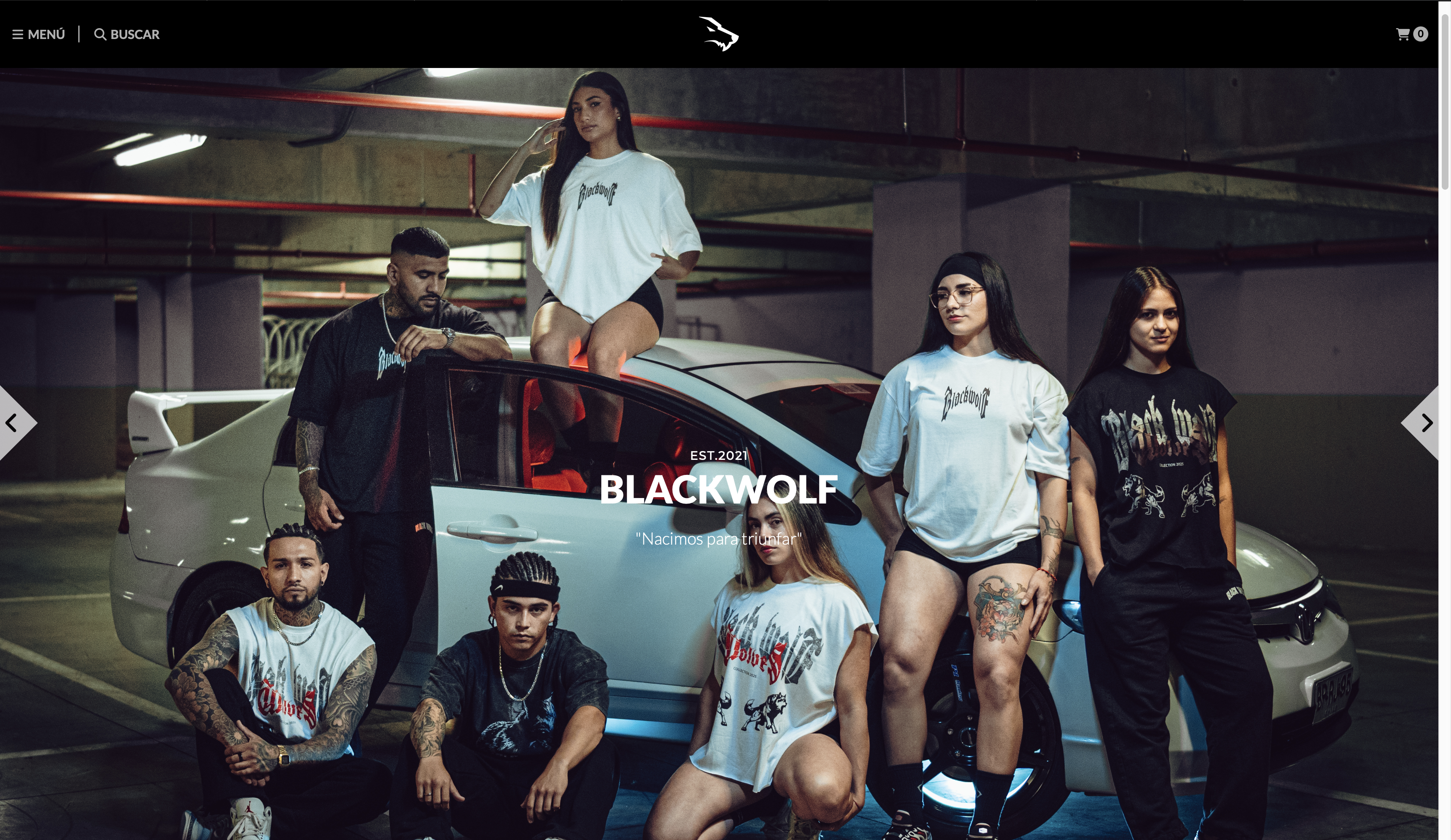 Home de la tienda BlackWolf
